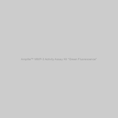 Amplite™ MMP-3 Activity Assay Kit *Green Fluorescence*